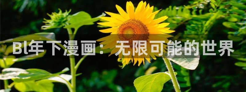 免费冬天之后的樱花漫画