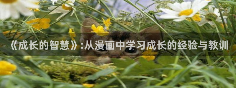 樱花漫画韩漫免费