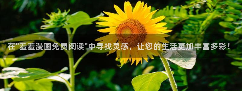 冬日的樱花漫画版