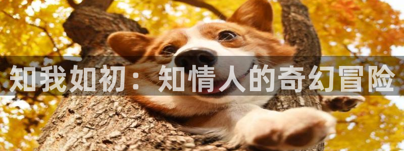 樱花漫画app下载